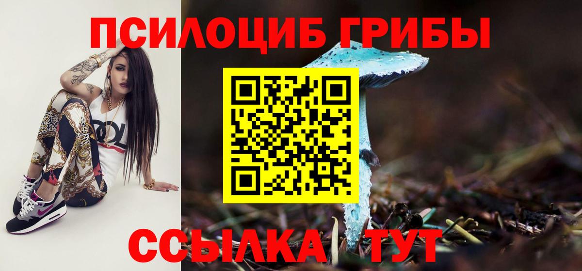 A-PVP СК   MDMA  Кодеин  Шебекино  Меф МЯУ МЯУ   КОКАИН  МАРИХУАНА  Гашиш  Вход с VPN  Метадон  LSD-25 