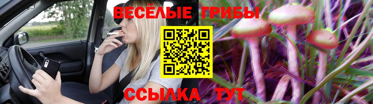 Галлюциногенные грибы мицелий Шебекино