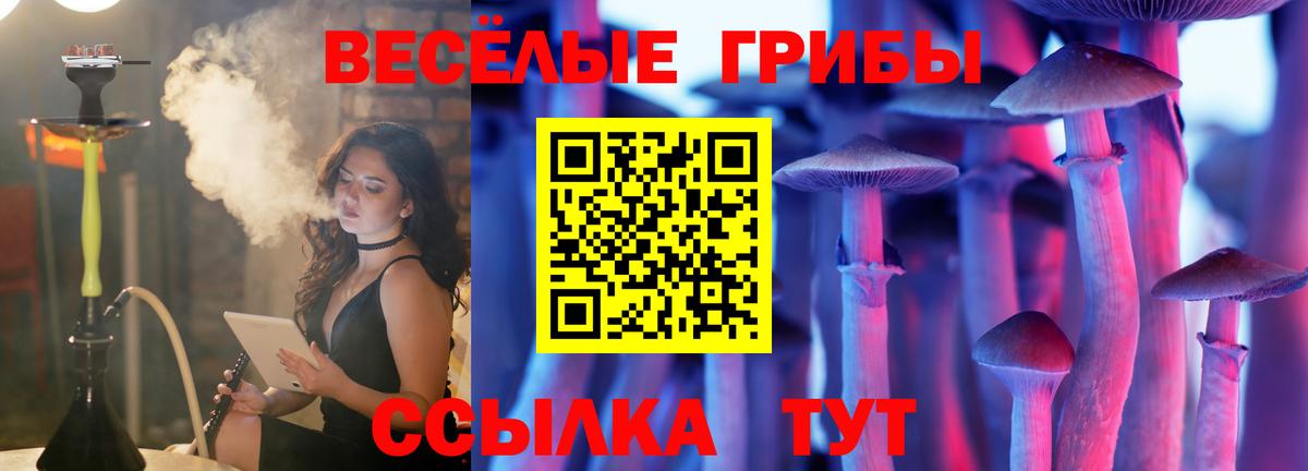 Галлюциногенные грибы Psilocybine cubensis  Галлюциногенные грибы MAGIC MUSHROOMS  Вход с VPN  Шебекино 