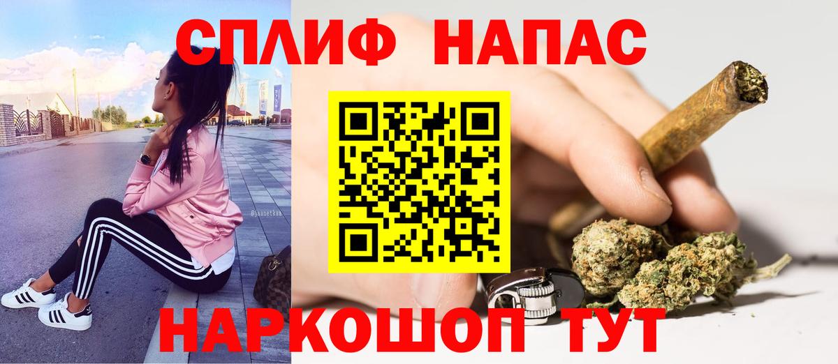 Бошки марихуана планчик  Канабис план  Шебекино  Вход с VPN  МАРИХУАНА гибрид 
